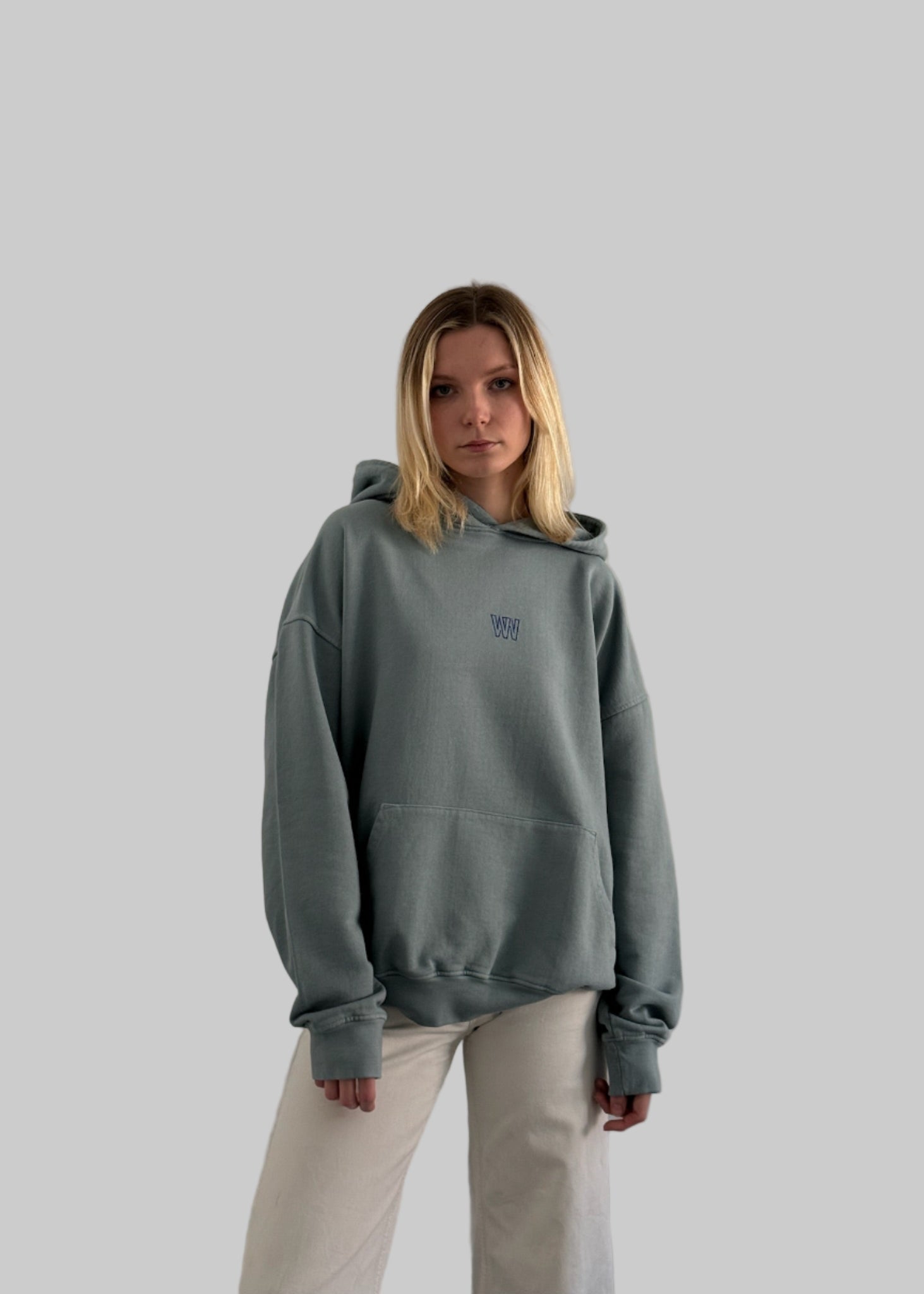 Ashley Grey Hoodie